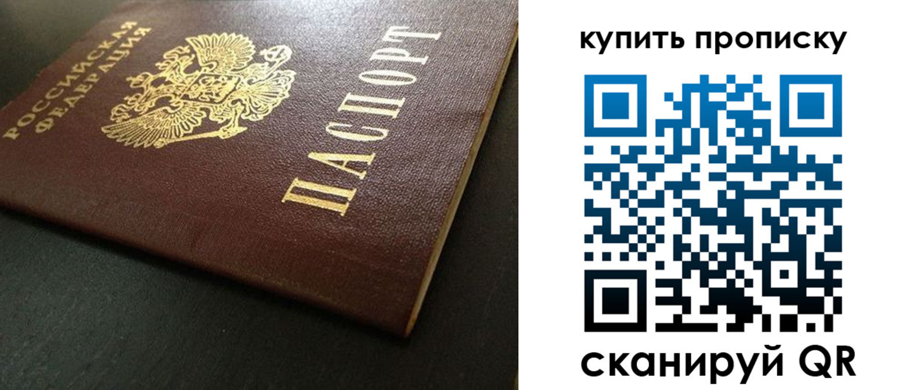 прописка законно в Гвардейске